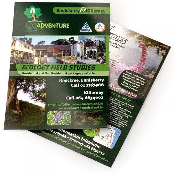 Flyers and Brochures 8.5 X 11