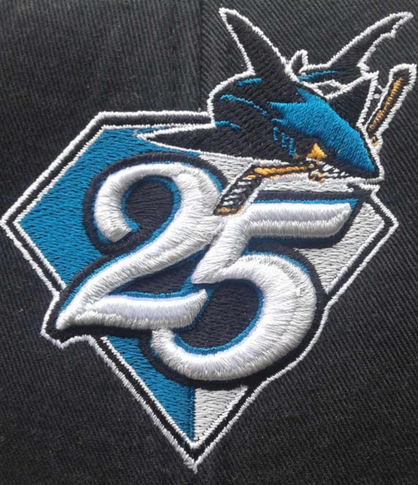 Embroidery Digitizing