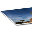 Foam Boards
