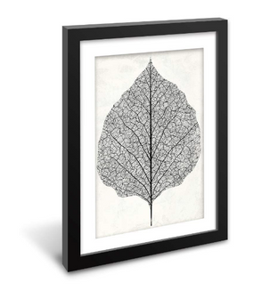 Framed Paper Poster